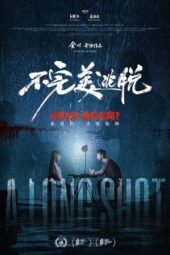 A Long Shot (2025)